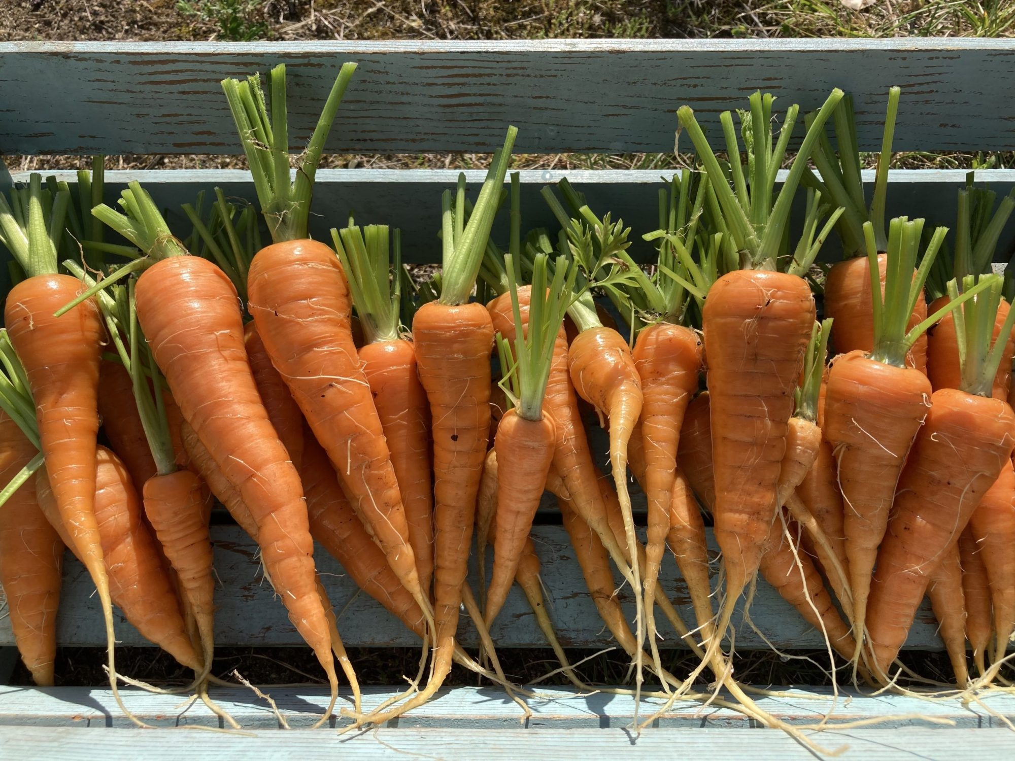Agro-alimentaire