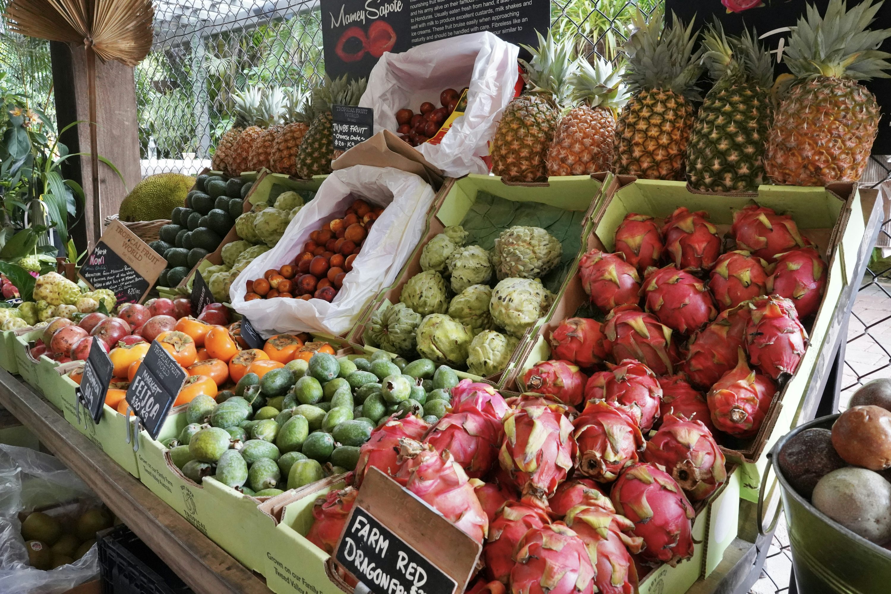Fruits & Légumes Frais