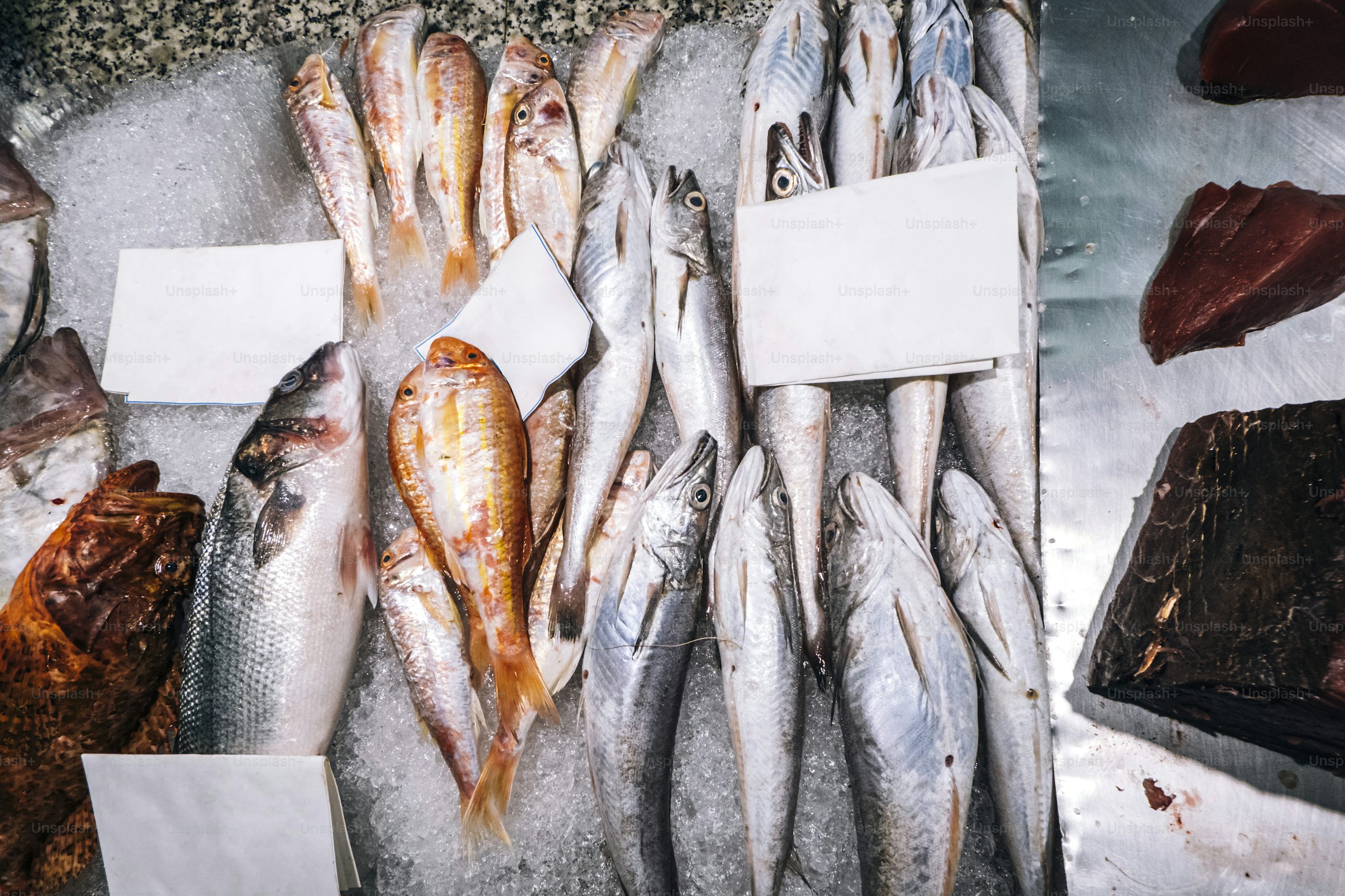 Produits de la Mer
